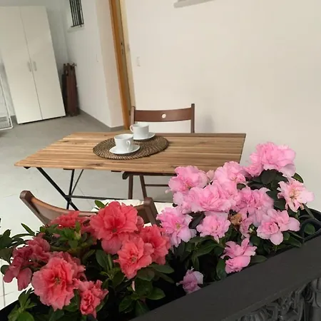 Casa Vigon